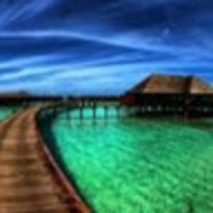 Meet your Posher, T.